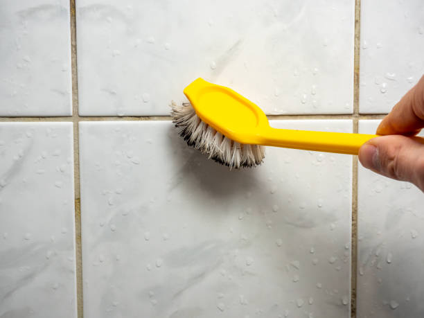 Water Damage Restoration in Kemp, TX
