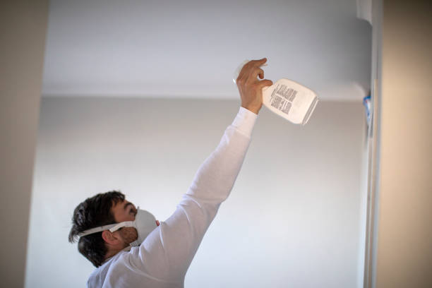 Best Certified Mold Removal  in Kemp, TX