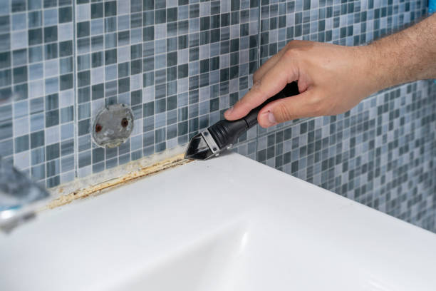 Professional Mold Removal in Kemp, TX