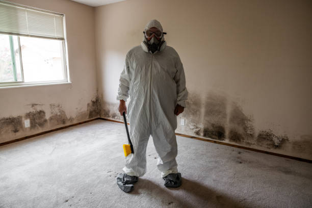 Best Commercial Mold Removal  in Kemp, TX