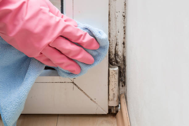 Best Mold Testing  in Kemp, TX